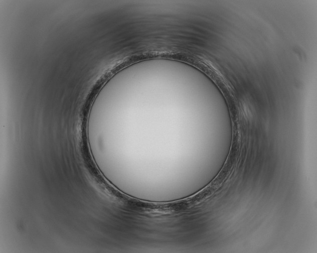 X0000113780447200909231044
