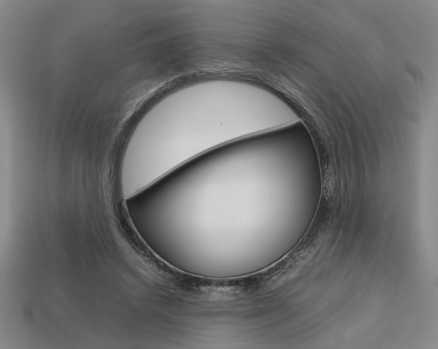 X0000113780448200909231044