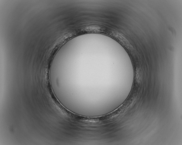 X0000113780449200909231044