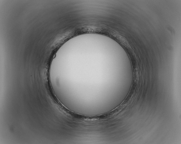 X0000113780450200909231044