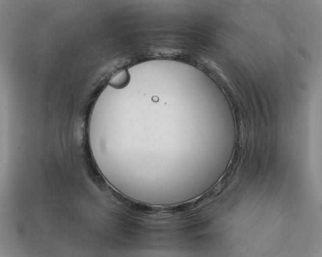 X0000113780451200909231044