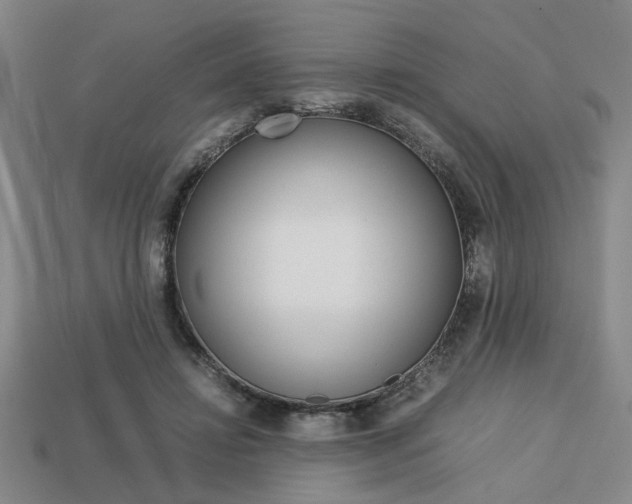 X0000113780452200909231044