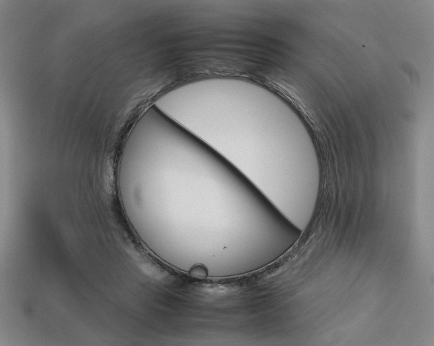 X0000113780453200909231044