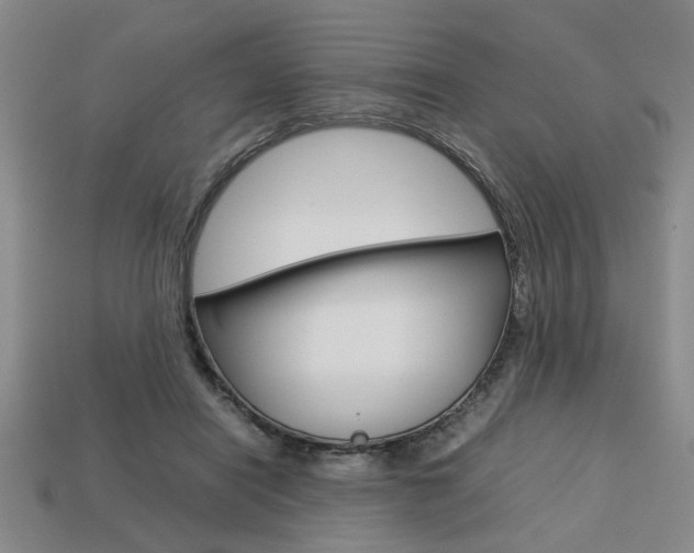 X0000113780454200909231044