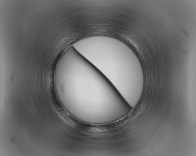 X0000113780455200909231044