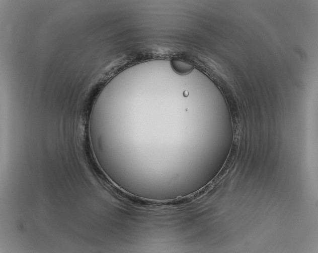 X0000113780456200909231044