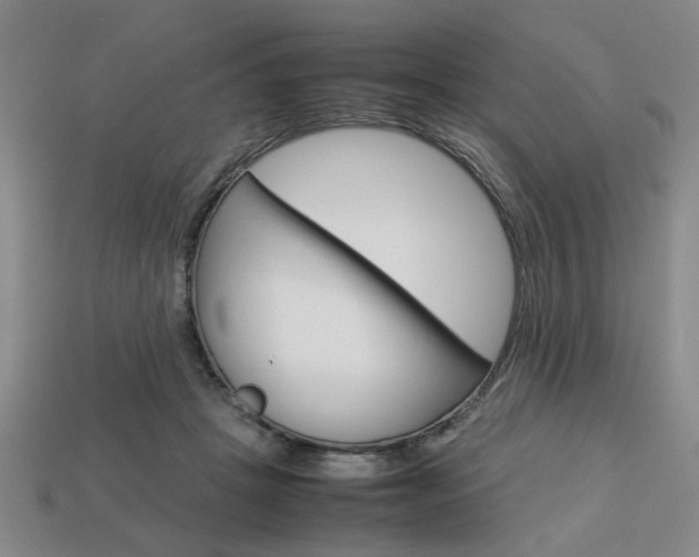 X0000113780457200909231044