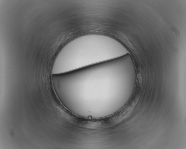 X0000113780458200909231044