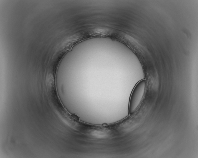 X0000113780459200909231044