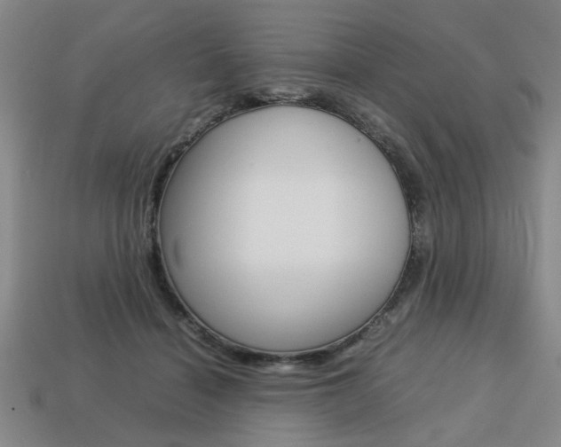 X0000113780460200909231044