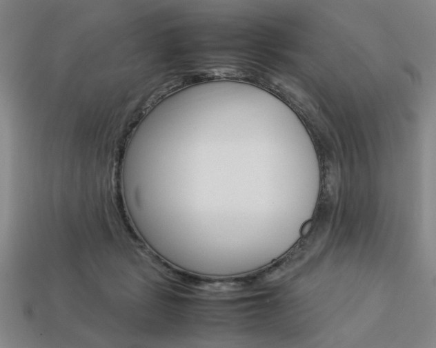 X0000113780461200909231044