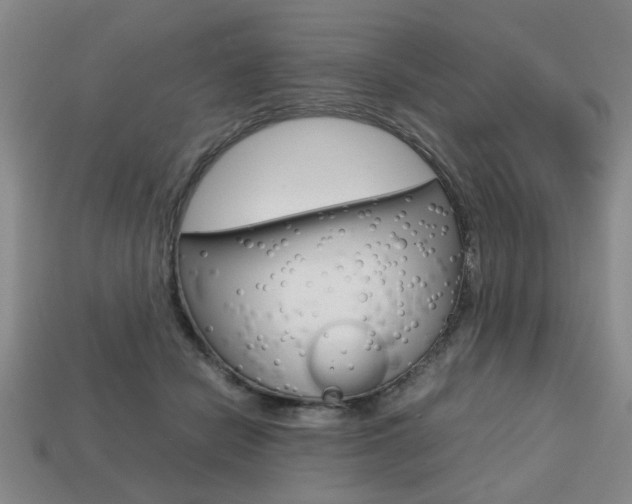 X0000113780462200909231044