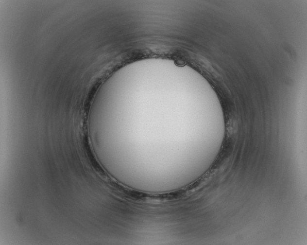 X0000113780464200909231044