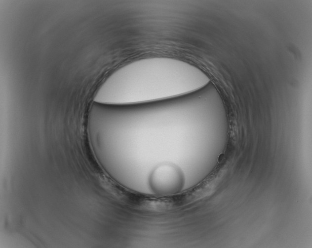 X0000113780466200909231044