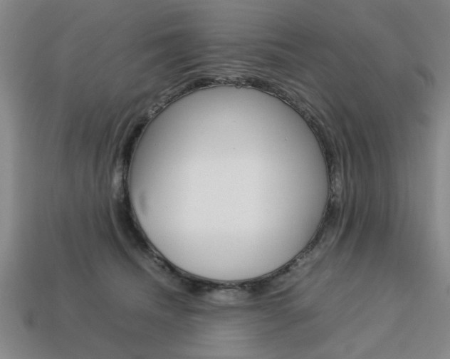 X0000113780468200909231044