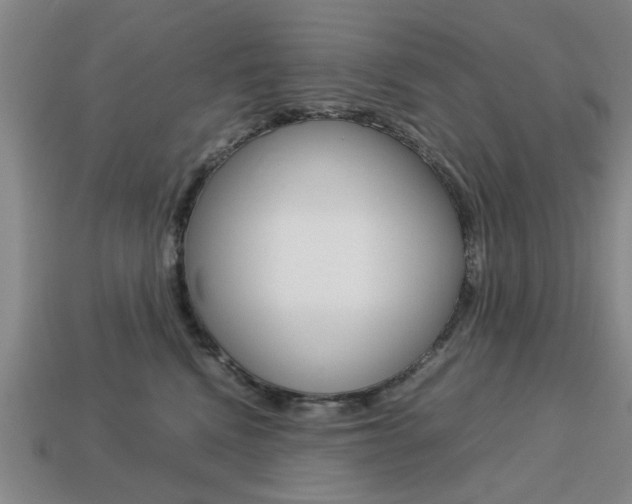 X0000113780472200909231044