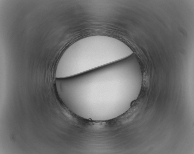 X0000113780474200909231044