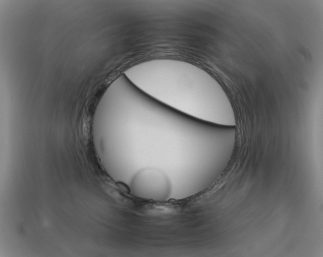 X0000113780475200909231045