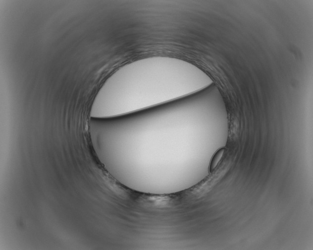 X0000113780478200909231045