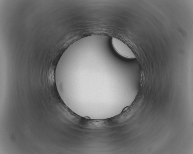 X0000113780479200909231045