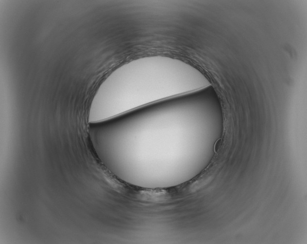 X0000113780480200909231045