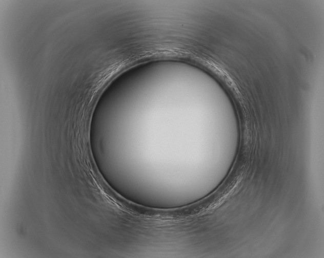 X0000113780481200909231044