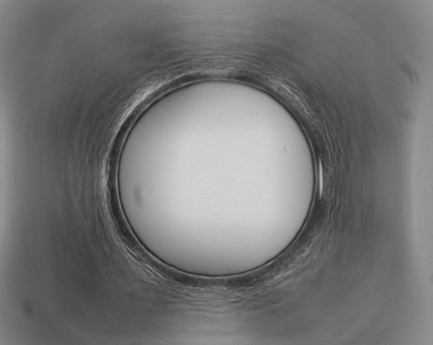 X0000113780483200909231044