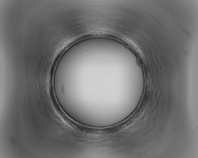X0000113780485200909231044