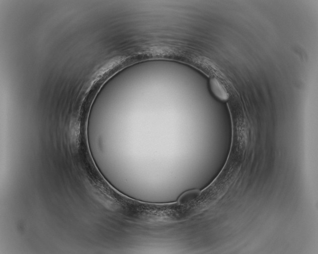 X0000113780488200909231044