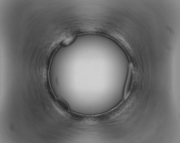 X0000113780489200909231044