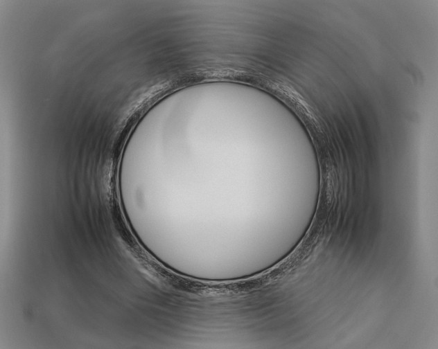 X0000113780490200909231044