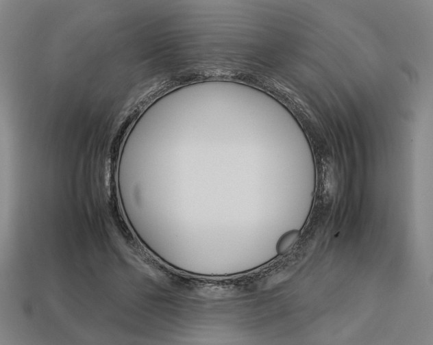 X0000113780494200909231044