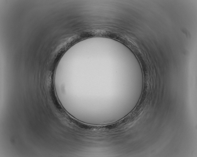 X0000113780495200909231044