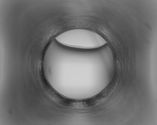 X0000113780499200909231044