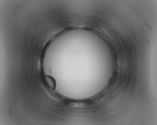 X0000113780500200909231044