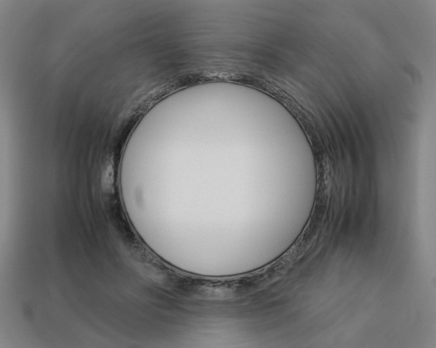 X0000113780502200909231044