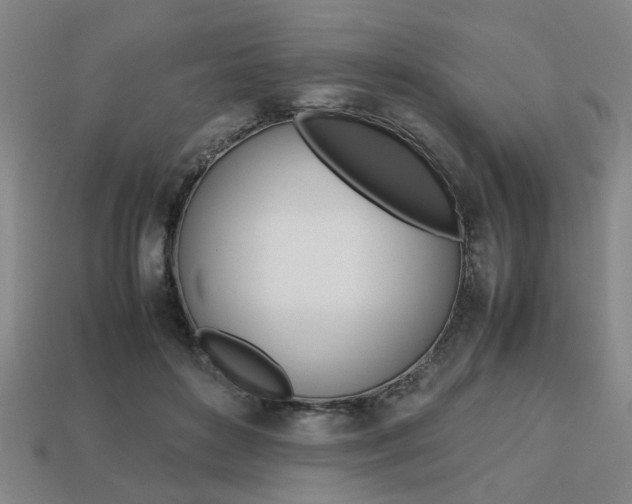 X0000113780504200909231044