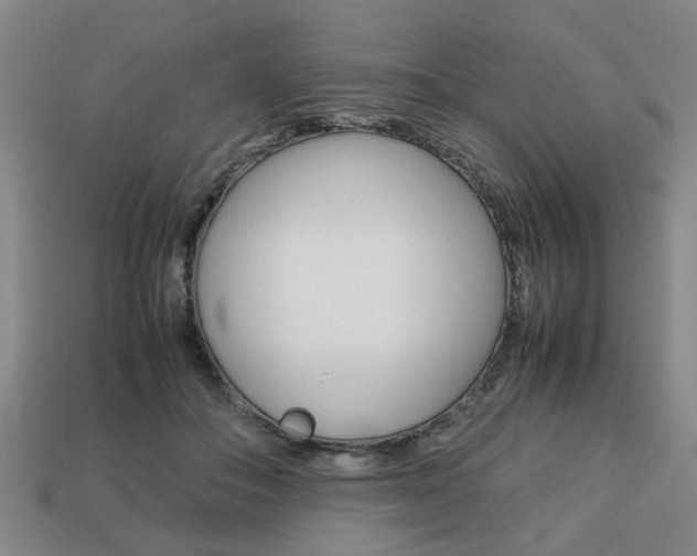 X0000113780506200909231044