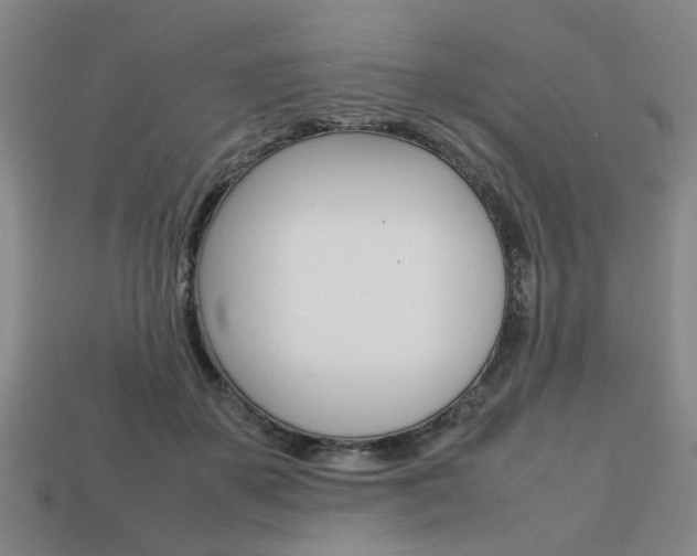 X0000113780507200909231044