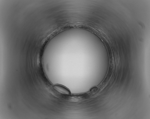 X0000113780508200909231044