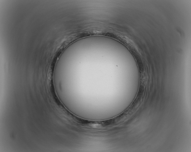 X0000113780509200909231044