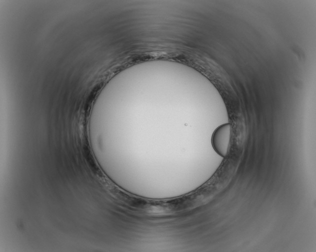 X0000113780510200909231044