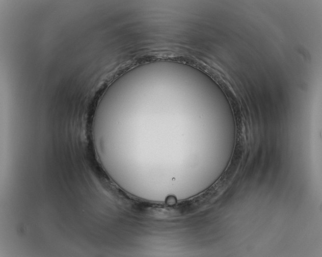 X0000113780512200909231044