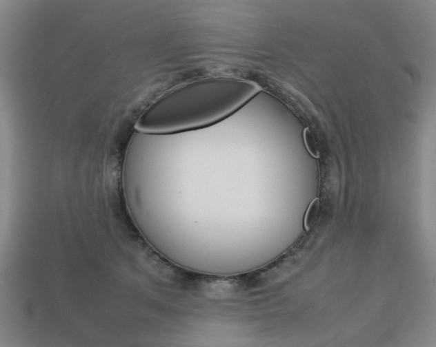 X0000113780513200909231044