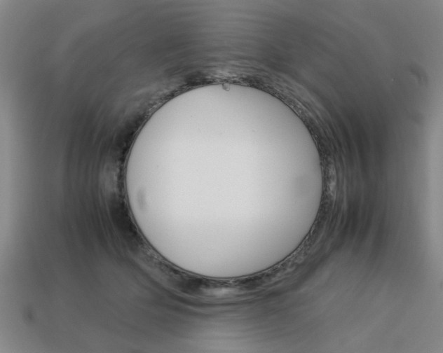 X0000113780514200909231044