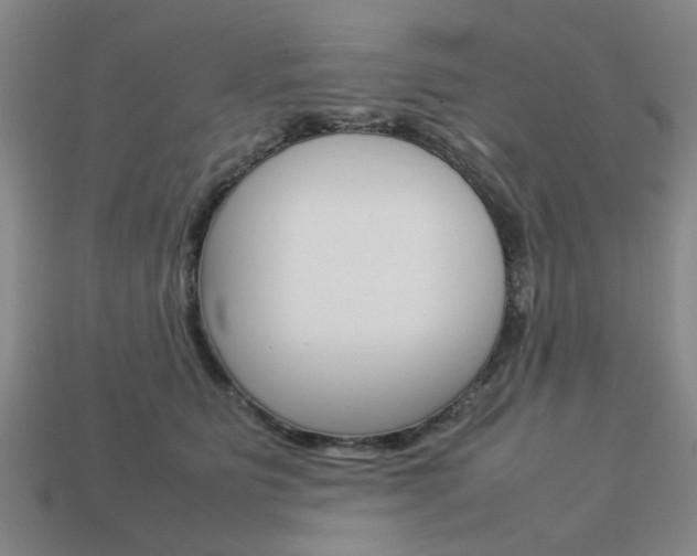 X0000113780515200909231044
