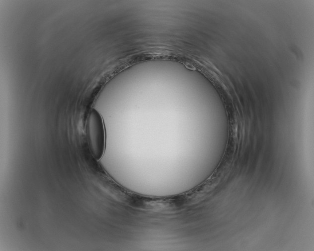 X0000113780516200909231044