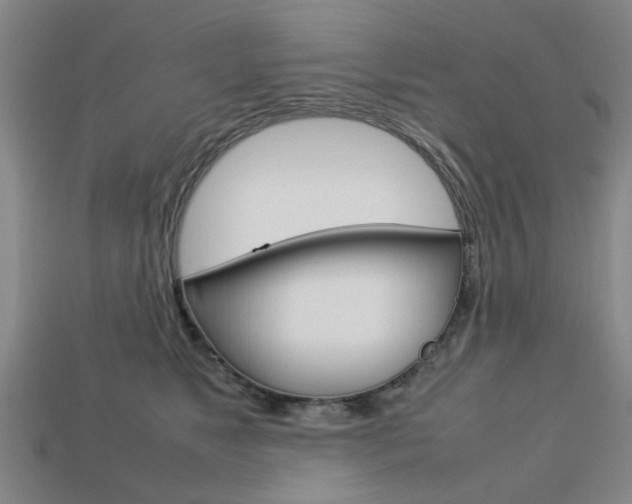 X0000113780517200909231043