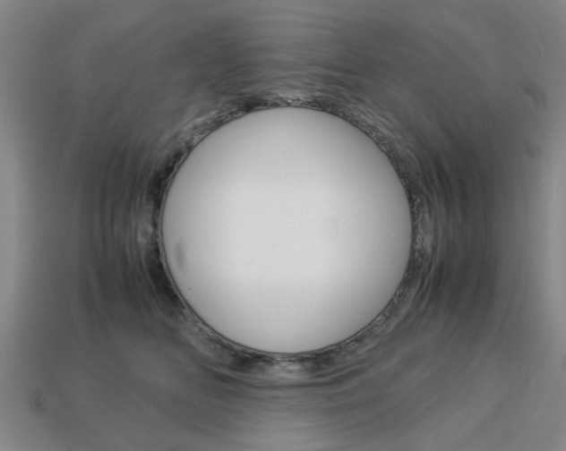 X0000113780518200909231043