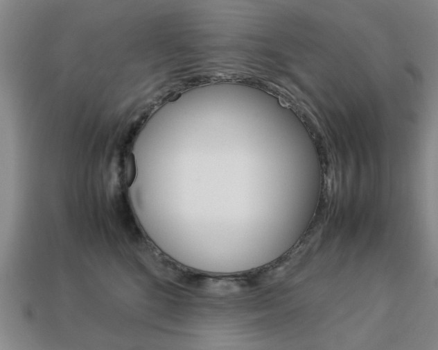 X0000113780520200909231043